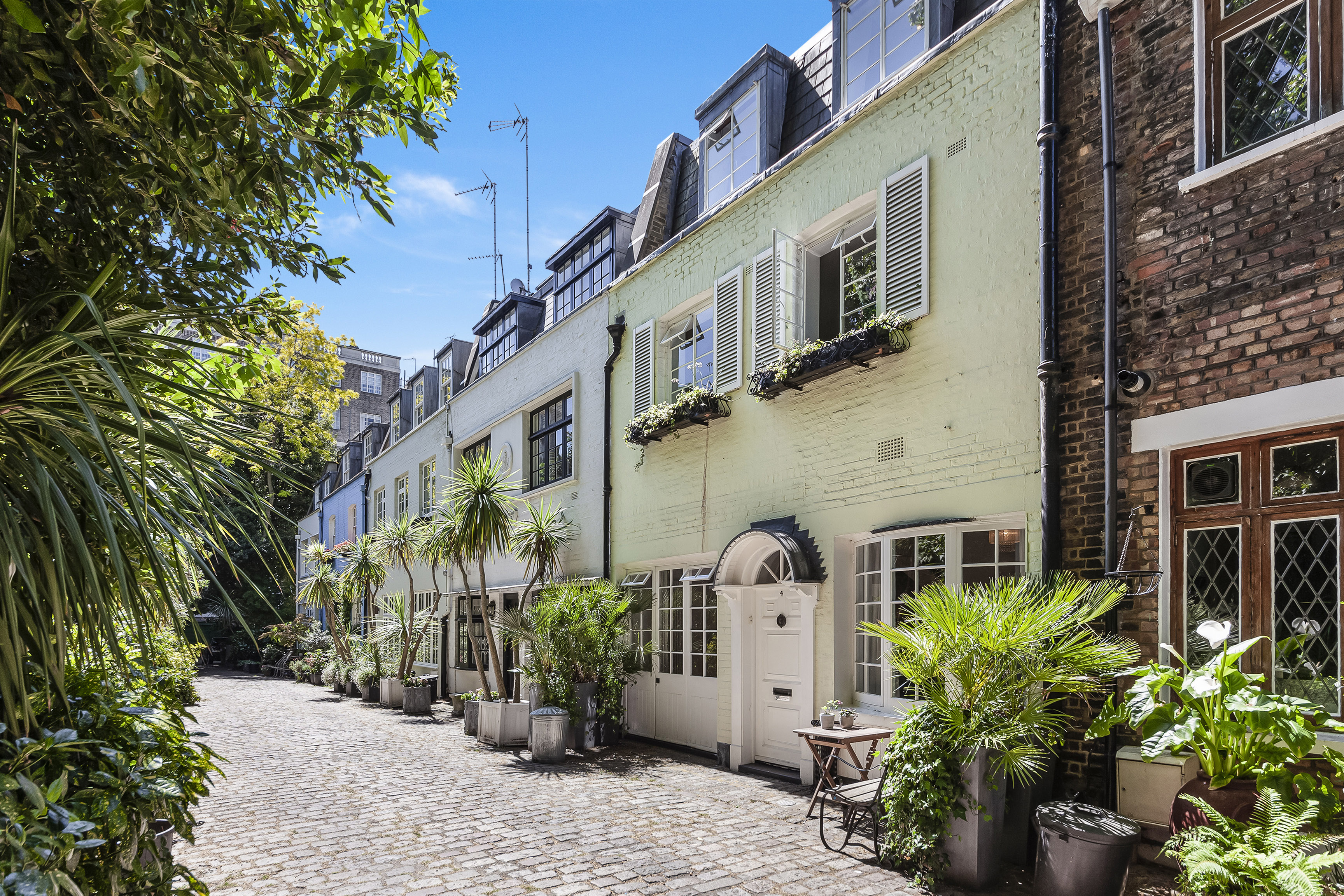 Albion Mews looks like a beautiful oasis, with palm trees to explore on a weekend