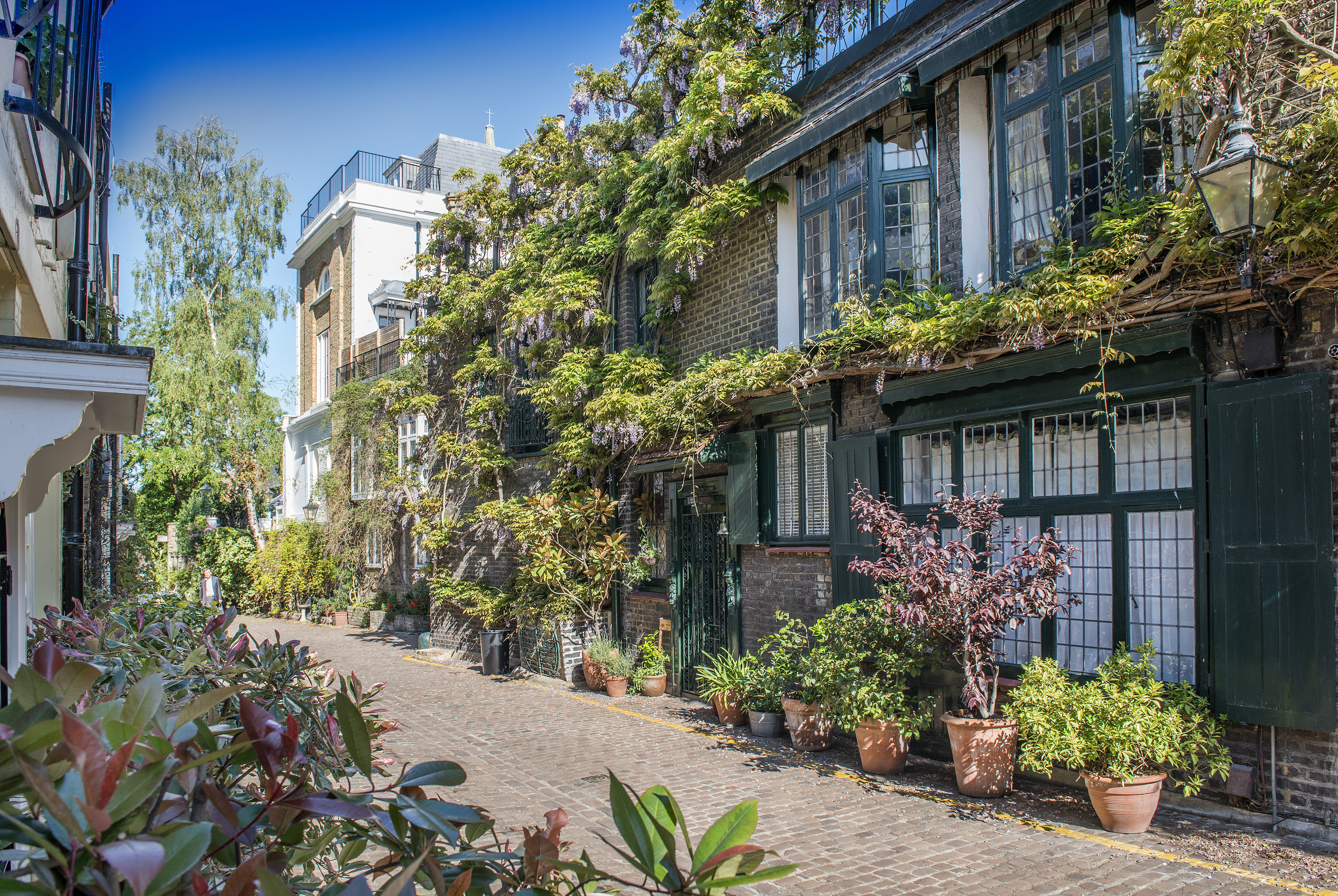 Kynance Mews is a wonderful street to explore in South Kensington