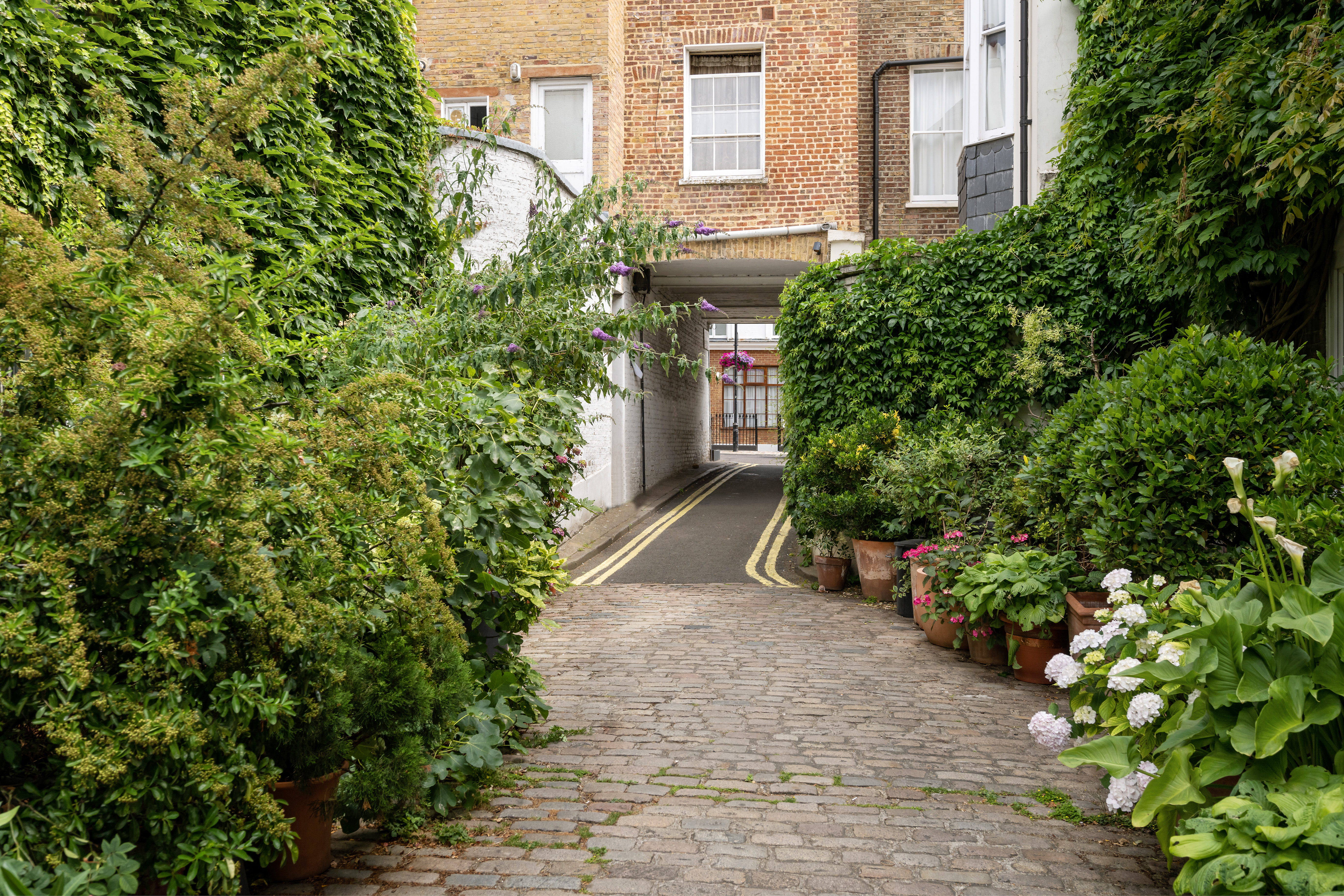 These Mews Streets Are Located Near The Green Parks Of London