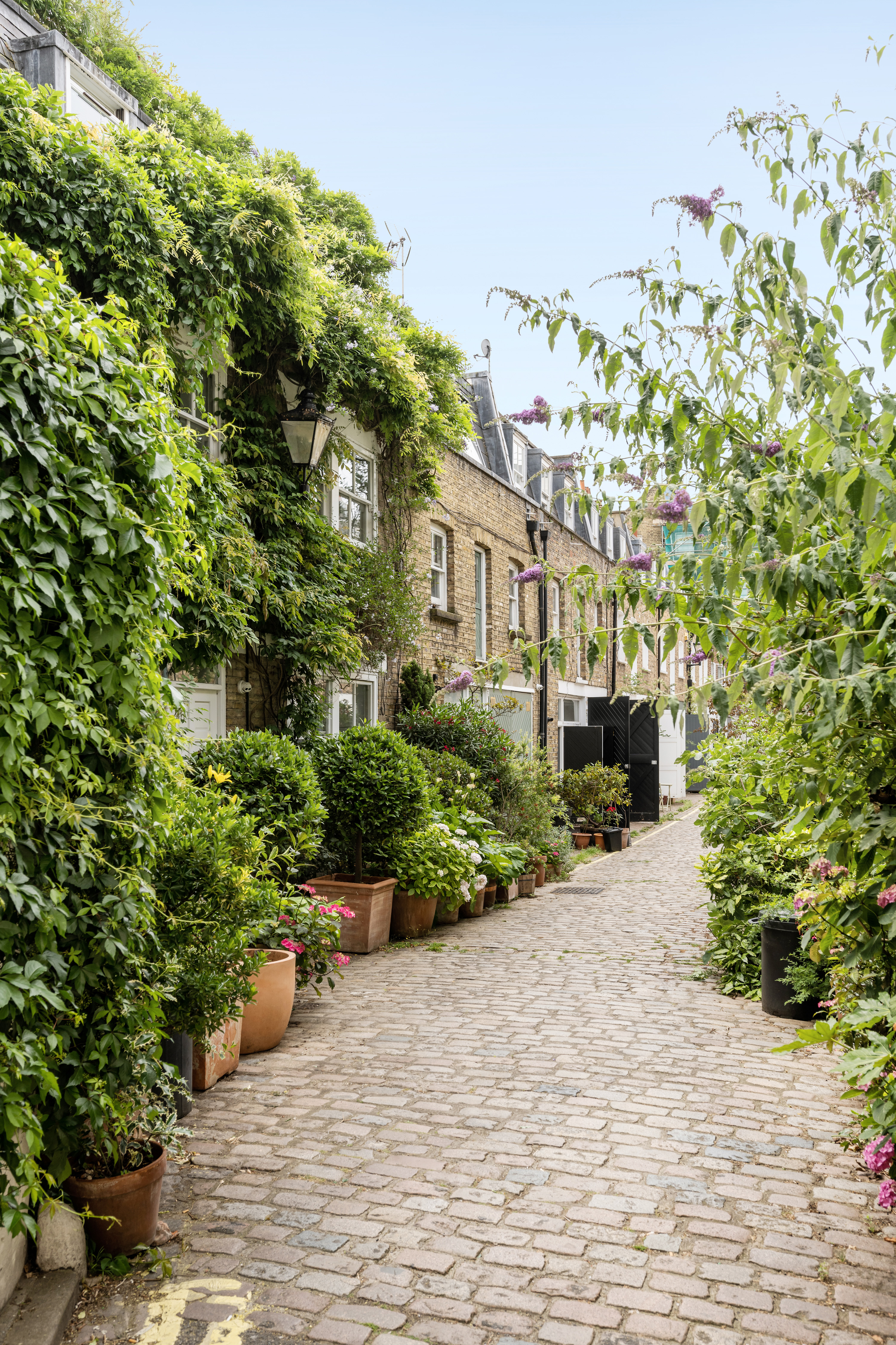 There are so many pretty mews streets to explore this bank holiday monday