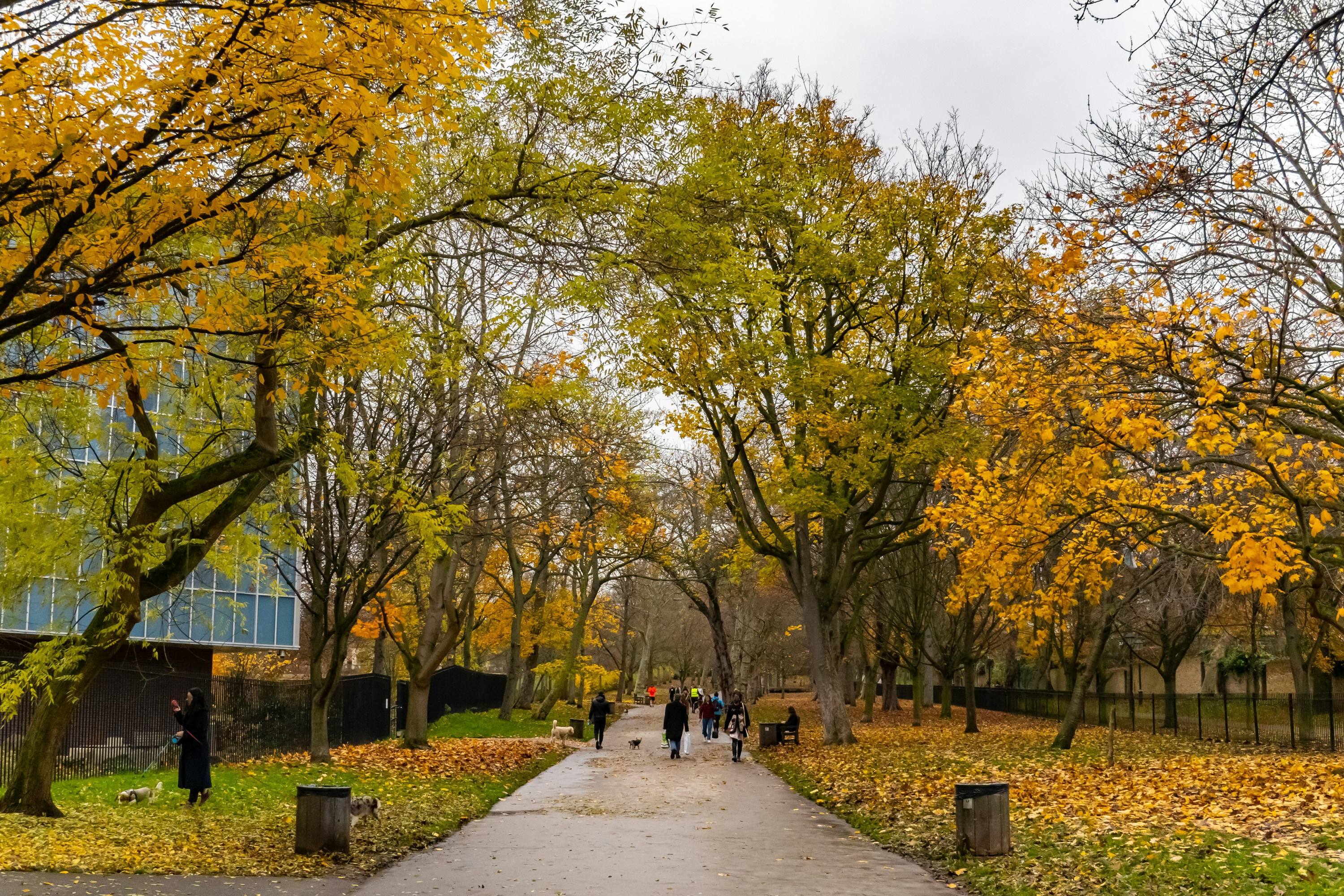 Holland Park In Autumn With Yellow And Green Leaves, Located Close To This Mews Property