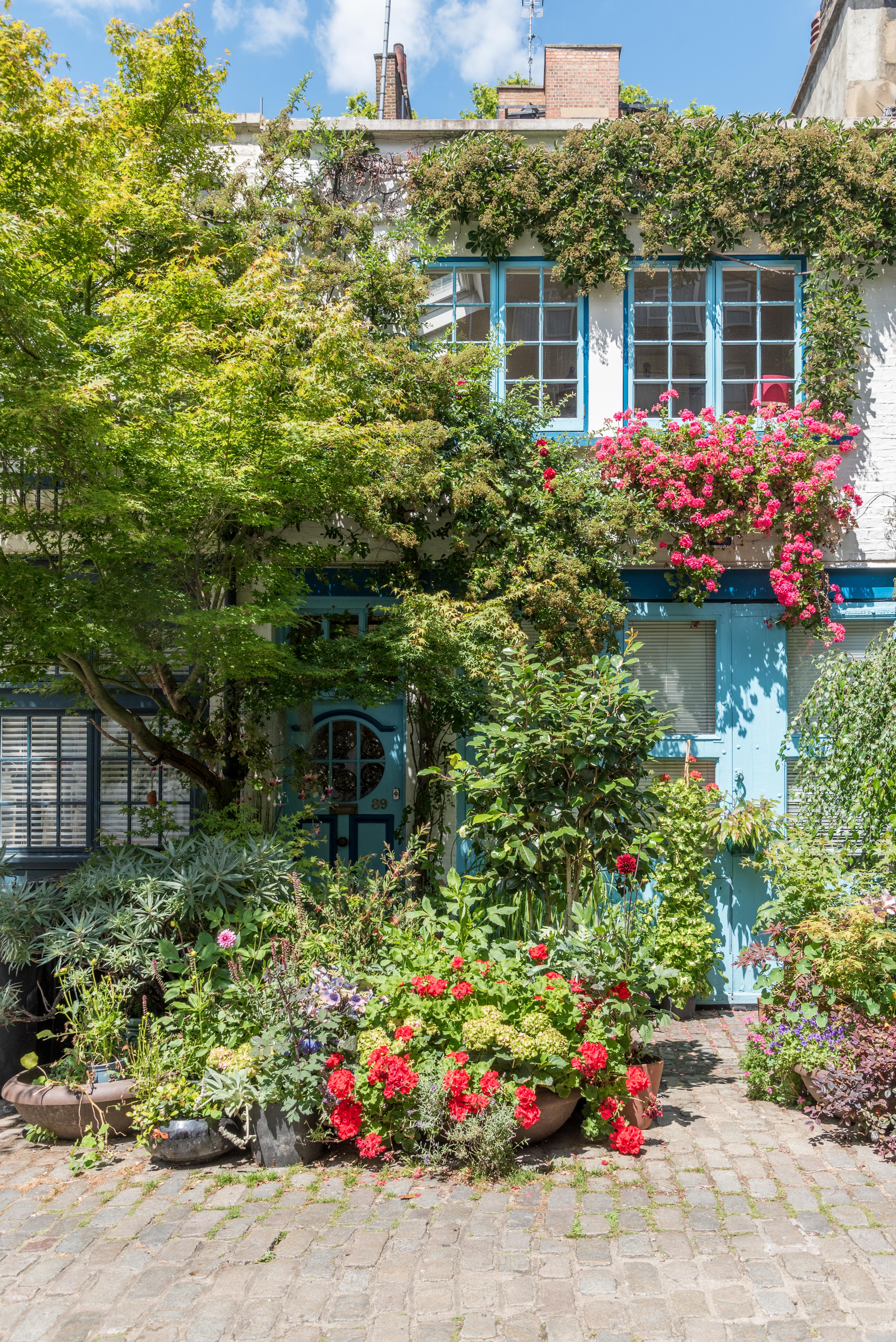 Pretty Flowers And Plants Outside This Mews House