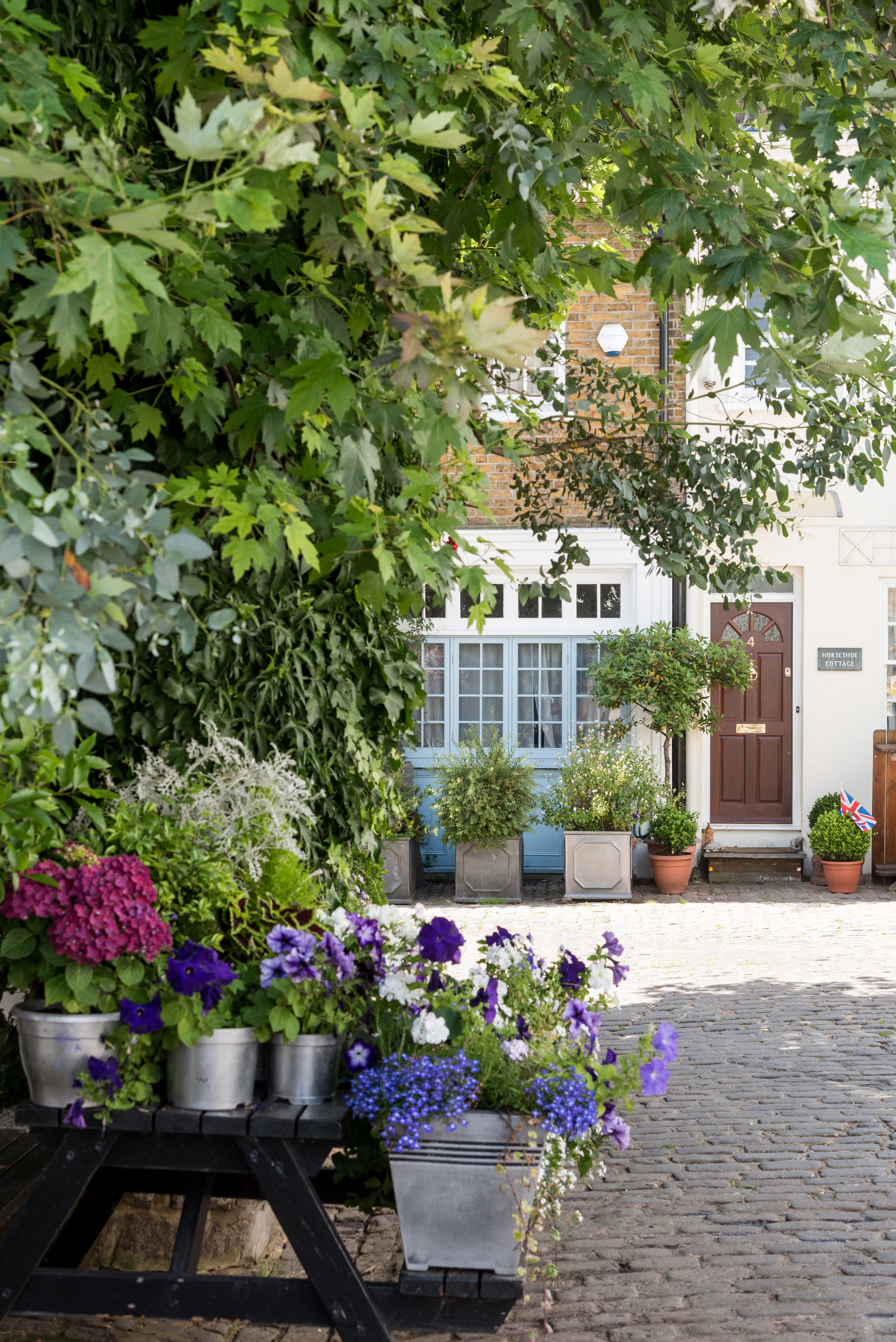 London mews in bloom with flowers and plants this Spring