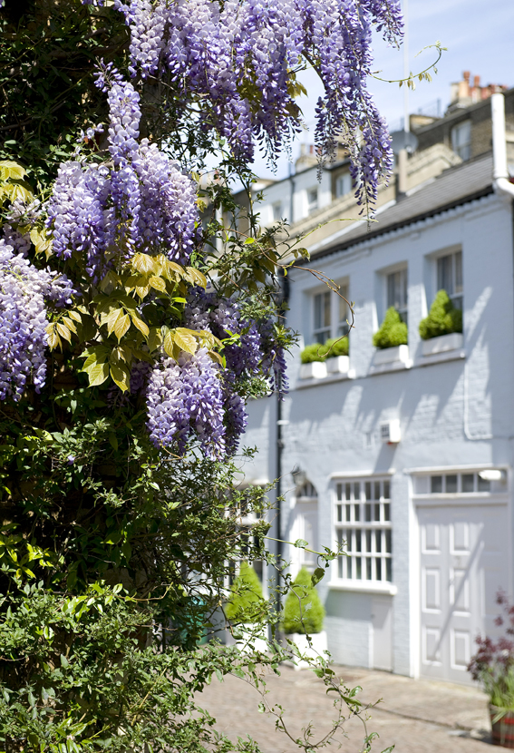 Mews In Bloom Across London During Spring