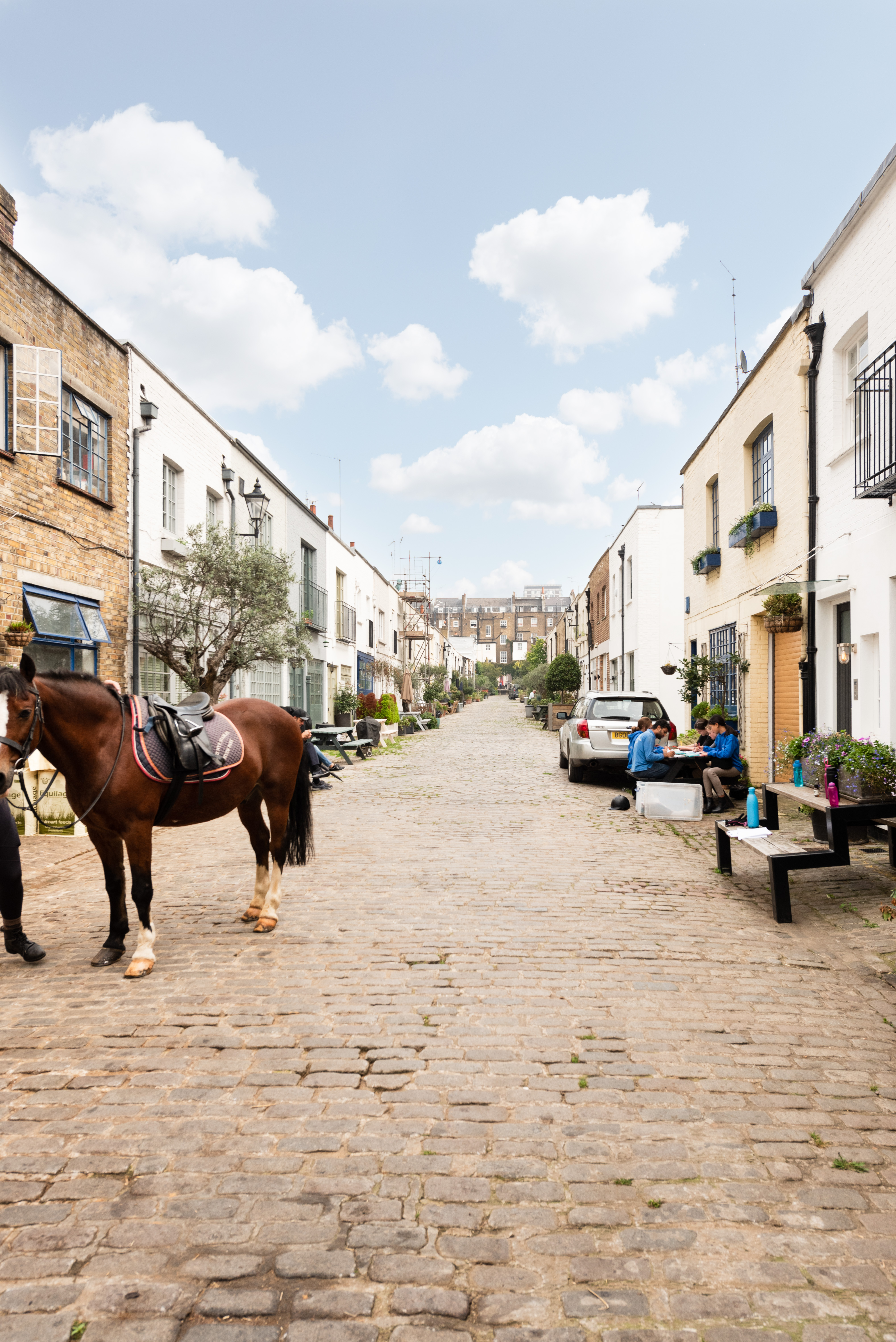 Horses In The London Mews